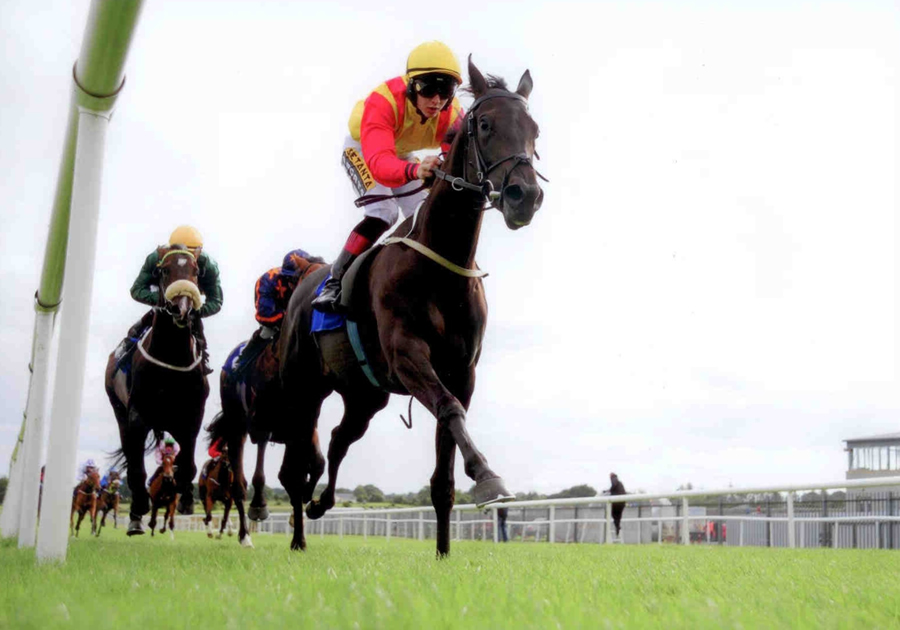 Belle Et Bete Roscommon 18th August 2014